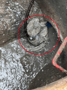 却给安拆成了双联动推拉