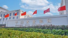 为大师精了2025年